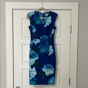 Calvin Klein Blue and Green Midi Dress